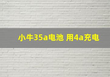 小牛35a电池 用4a充电